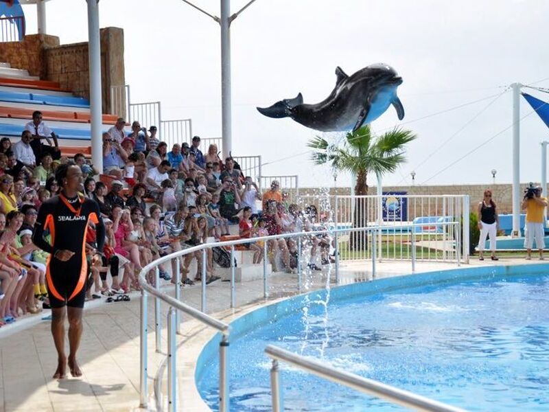 Visit Sealanya Dolphin Park in Alanya for an Unforgettable Experience