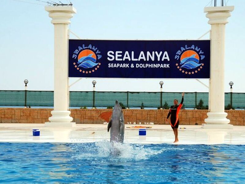 Visit Sealanya Dolphin Park in Alanya for an Unforgettable Experience