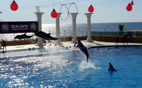 Visit Sealanya Dolphin Park in Alanya for an Unforgettable Experience