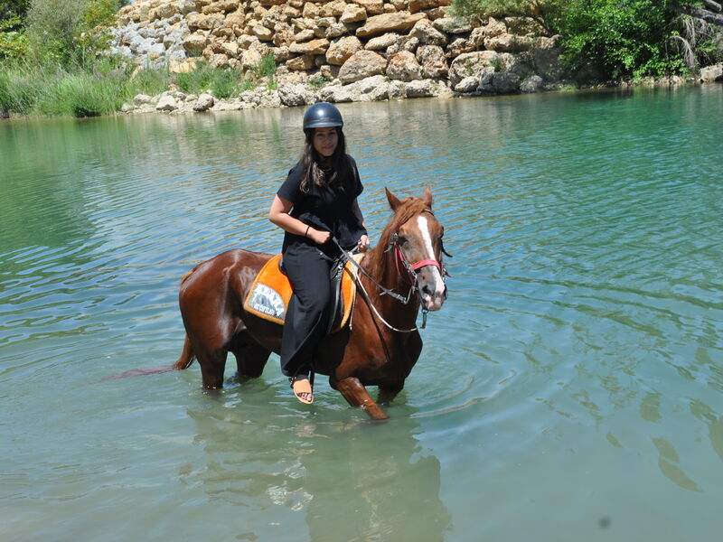 Alanya Horseback Riding Adventure