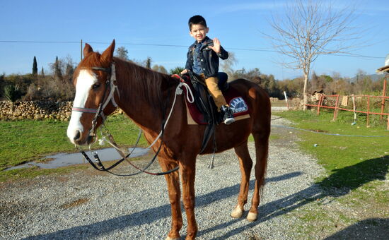 Alanya Horseback Riding Adventure